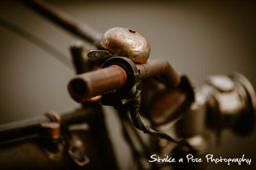 strikeaposephotography.co .za-95